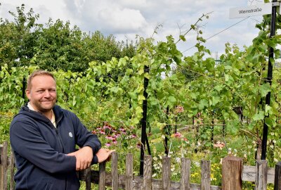 Wo im Kleingarten Wein angebaut wird -  "Aber der Anbau ist aufwendig", berichtet der Hobbywinzer. Täglich geht er nach der Arbeit in seinen Garten. Foto: Steffi Hofmann