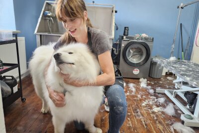 Wo "Wuffi" glücklich wird: Hundefriseurin aus Mittelsachsen gibt Einblick in ihre Arbeit - Das Wohlbefinden der Hunde steht für Christiane an erster Stelle. 