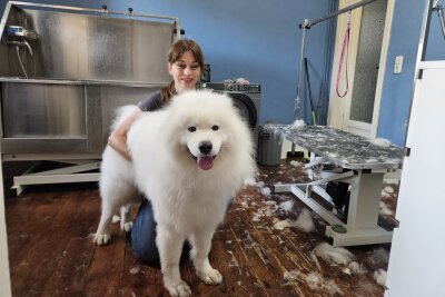 Wo "Wuffi" glücklich wird: Hundefriseurin aus Mittelsachsen gibt Einblick in ihre Arbeit - Christiane lebt ihre Leidenschaft als Hundefriseurin in Lichtenau seit 2022 aus. 