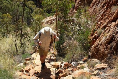 Wüstenwunderweg: Wandern im Herzen Australiens - Auf der dritten Etappe steigt man aus der schmalen Schlucht Standley Chasm über steile Felstreppen mehrere Scharten empor.