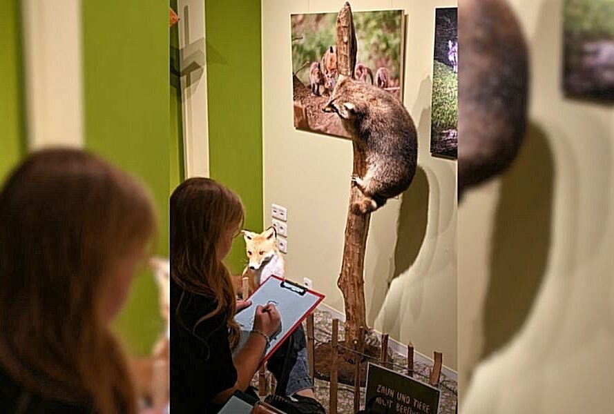 Zeichnungen ukrainischer Kinder im Museum für Naturkunde - Ab Freitag  zeigt das Museum für Naturkunde die Ausstellung "Portraits unserer Nachbarn". Foto: Museum für Naturkunde