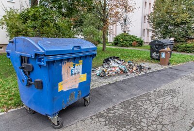 Zeugenaufruf: Mülltonnen in Brand gesteckt - Vergangene Nacht wurden in Zwickau Mülltonen in Brand gesteckt. Foto: André März