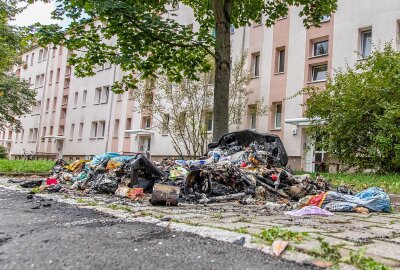 Zeugenaufruf: Mülltonnen in Brand gesteckt - Die Polizei sucht nach Zeugen. Foto: André März