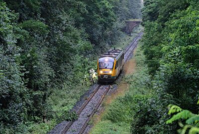 Zittau: Unwetter sorgt für überflutete Straßen und umgeknickte Bäume - Aufgrund des Unwetters am Mittwochnachmittag sind zahlreiche Straßen im Landkreis Görlitz überflutet worden. Foto: xcitepress