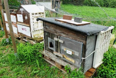 Zschopauer Tierschutzstation vermittelt kuschlige und stachlige Bewohner - Allerdings sind den "Häusern" Witterung und Alter anzumerken. Foto: Andreas Bauer