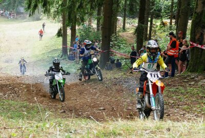 Zschopauer wird in Geyer zum Speedhill-König - Die Strecke an der Walthershöhe ist rund 300 Meter lang. Foto: Andreas Bauer