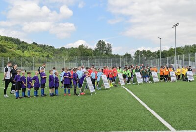 Zschorlauer gewinnen erneut den SWA-Cup - Beim SWA-Cup sind sieben Teams angetreten. Foto: Ramona Schwabe