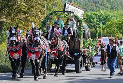 Zur 3. Sternquell Wiesn noch eins draufgesetzt: "Plauen ist der Hit!" - Hier gibt es Impressionen vom Festumzug und der Brauertaufe zur 3. Sternquell Wiesn. Fotos: Pressebüro Repert / Igor Pastierovic / Andreas Wetzel