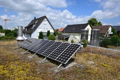 Zwei auf eins: Wie funktioniert ein Solargründach? - Damit die Solarmodule nicht verschattet werden, sollten Pflanzen auf Solargründächern nicht höher als 30 Zentimeter wachsen.