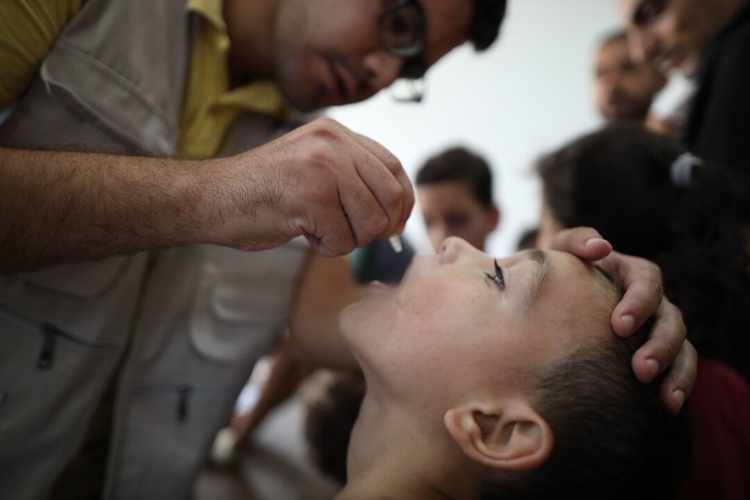 Zweite Runde der Polio-Impfungen im Gazastreifen begonnen - Im umkämpften Gazastreifen hat die zweite Runde der Polio-Impfungen begonnen.