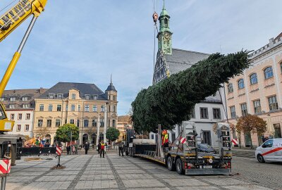 Zwickauer Weihnachtsmarkt nimmt Gestalt an: 40 Jahre alte Tanne schmückt den Hauptmarkt - Der Zwickauer Weihnachtsmarkt beginnt in diesem Jahr am 25. November, 11 Uhr, und endet am 22. Dezember, 20 Uhr. Die täglichen Öffnungszeiten sind montags bis sonntags von 11 bis 20 Uhr, samstags bis 21 Uhr. Foto: Ludmila Thiele