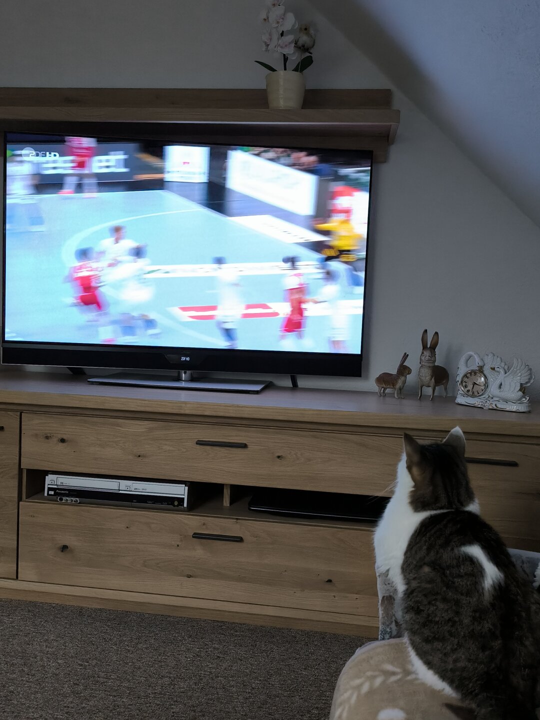 Ich habe immer Notfellchen aus dem Tierschutz genommen. Dinka ist aus dem Tierheim Bautzen und kam &uuml;ber Tierisch Tierisch zu mir und Lilly habe ich von einem privaten Tierschutz &uuml;bernommen. Meine zwei Katzen schauen am liebsten Sportsendungen an, vorallem Biathlon.