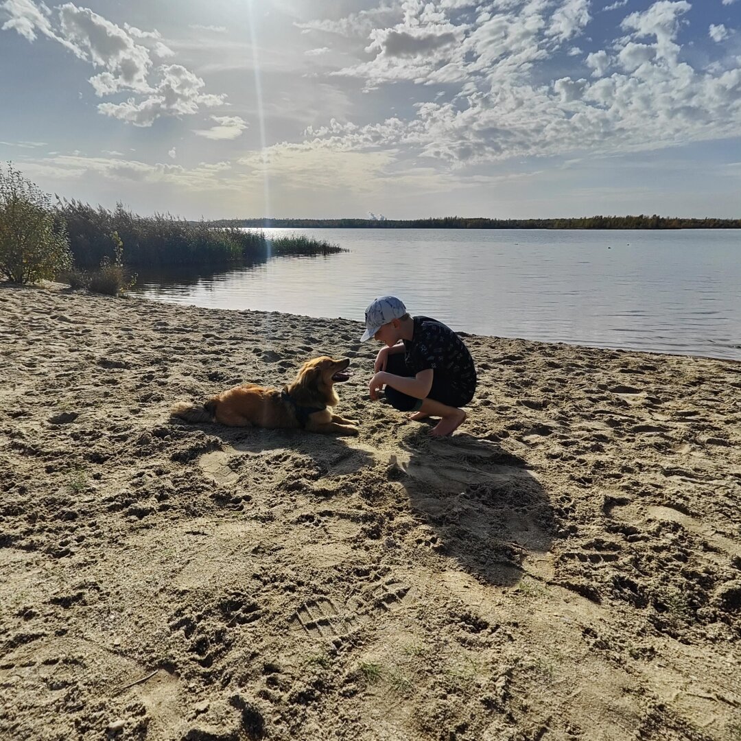 Unser Timmy kommt aus einem Tierschutzverein aus Zwickau, aber urspr&uuml;nglich aus Rum&auml;nien er ist ein stra&szlig;enhund gewesen, und wurde als kleiner Welpe gefunden mit seiner Mama, wir haben ihn dann aufgenommen. Bei uns da auch bei uns gesundheitlich sehr lange arbeiten nicht m&ouml;glich war, und damit ein bisschen Freude reinkommt wollten wir dann wieder einen Hund haben. wir hatten schon mal einen den haben wir leider verloren aus krankheitsm&auml;&szlig;ig und dann kam der kleine s&uuml;&szlig;e Timmy mir sind sehr stolz auf ihn und sind froh dass er jetzt bei uns ist er bereichert uns das Leben sehr und gibt uns ganz ganz viel Kraft.