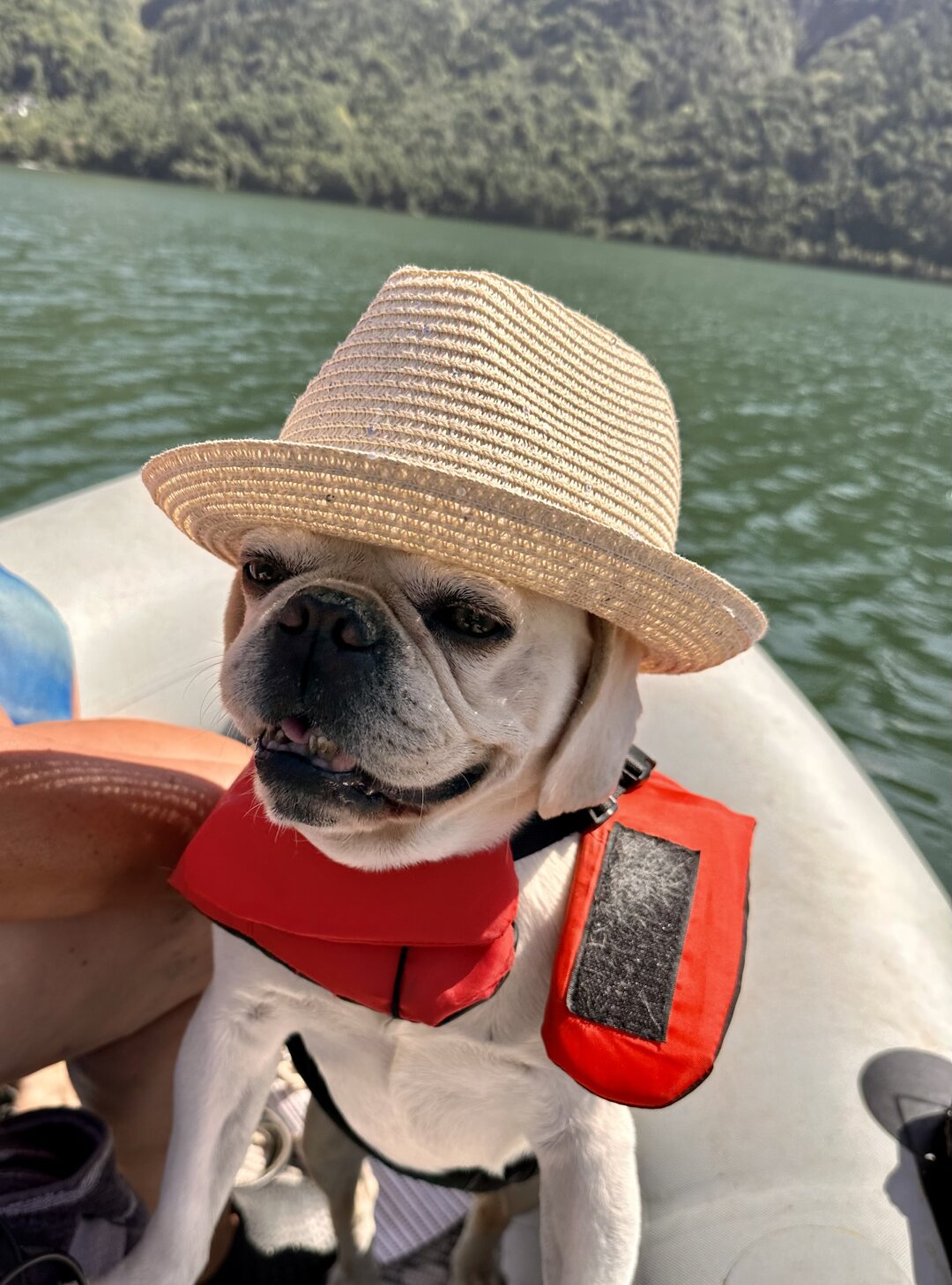 Willi kann nicht schwimmen f&auml;hrt aber f&uuml;r sein Leben gern Boot