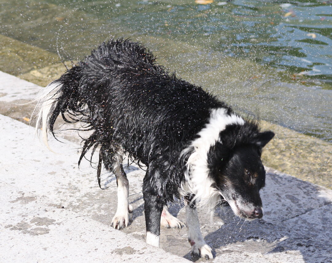 Beim sonnigen Wetter im Sommer.