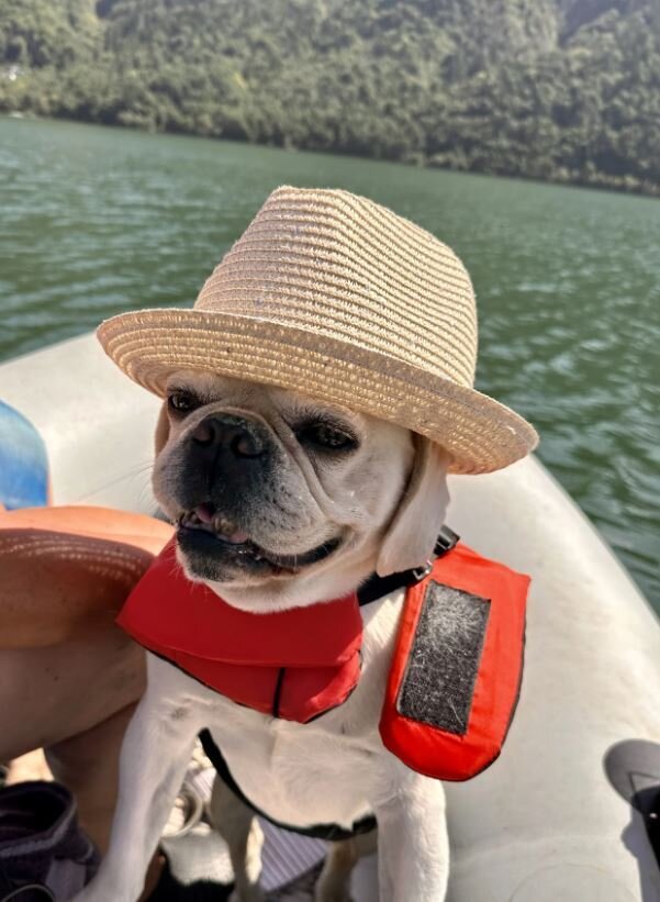 Willi kann nicht schwimmen f&auml;hrt aber f&uuml;r sein Leben gern Boot