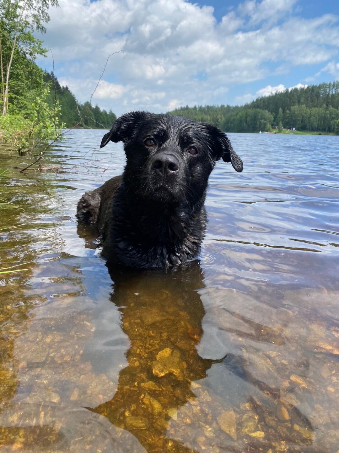 Paula liebt es einfach drau&szlig;en zu sein. Am Liebsten ist sie aber im Wasser. Sie ist eine spitzen Schwimmerin und hat jede Menge Ausdauer dabei. Am Liebsten drehen wir zusammen im See ein paar Runden.