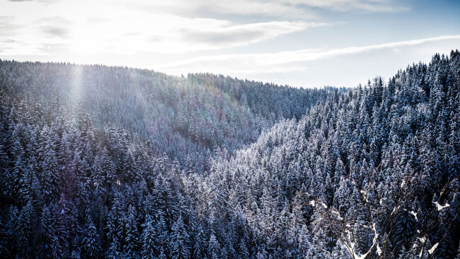 Schwarzwassertal vom Katzenstein aus