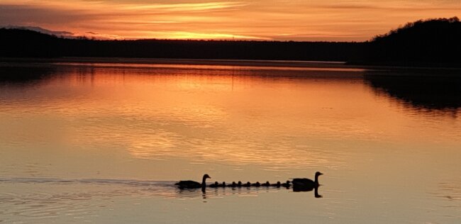 Ein wundersch&ouml;ner Sonnenuntergang am See bei Geyer