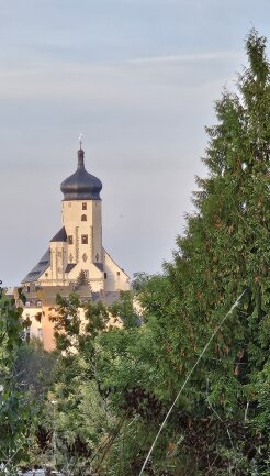 Blick auf die St. Marienkirche bei einem Spaziergang