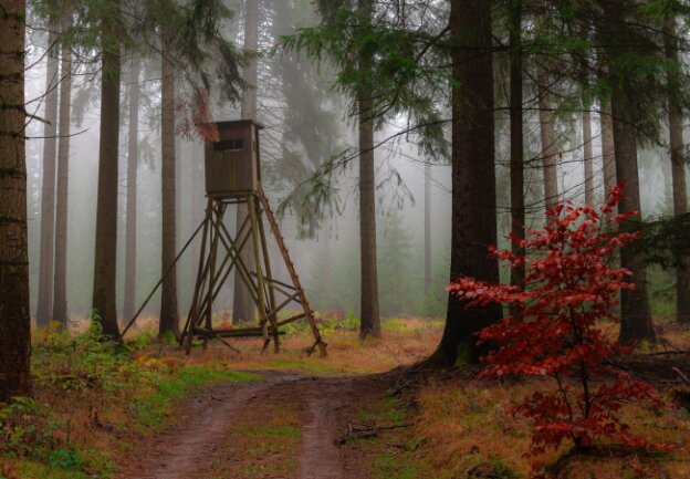 Dieses Foto entstand in einem Waldst&uuml;ck Richtung Marienberg / Reitzenhain bei Nebel im Wald und einem wundersch&ouml;nen J&auml;gerstand.<br />
Canon 500D, ISO 100, f 4.5, 1/6s, 37 mm