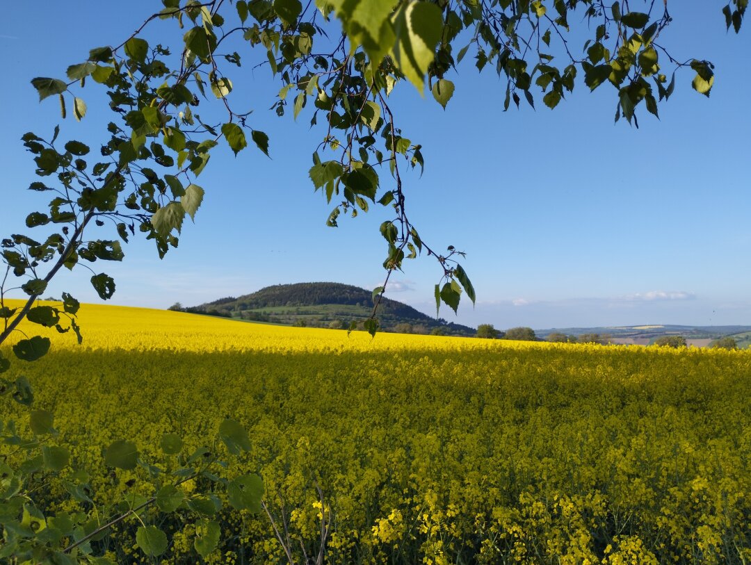 Fr&uuml;hlingshafte Farbenpracht