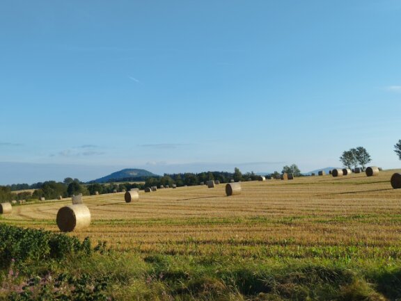 Sp&auml;tsommerlicher Abendspaziergang