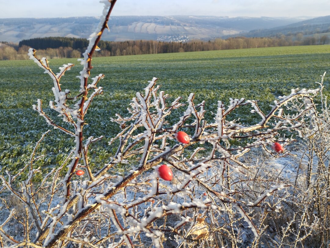 Letzte Winterimpressionen,der Fr&uuml;hling will kommen