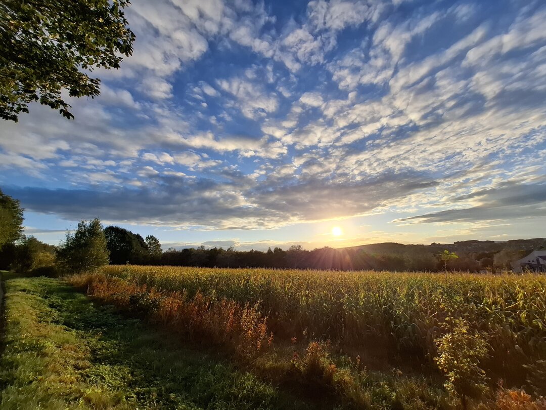 Abendstimmung am Radweg in Annaberg-Buchholz