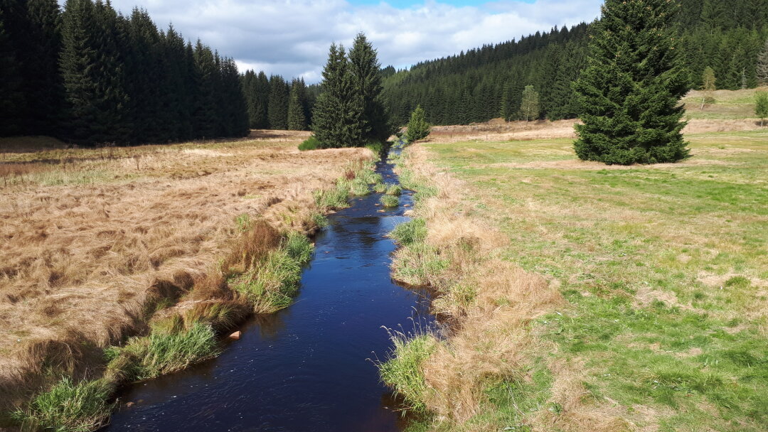 Im Schwarzwassertal