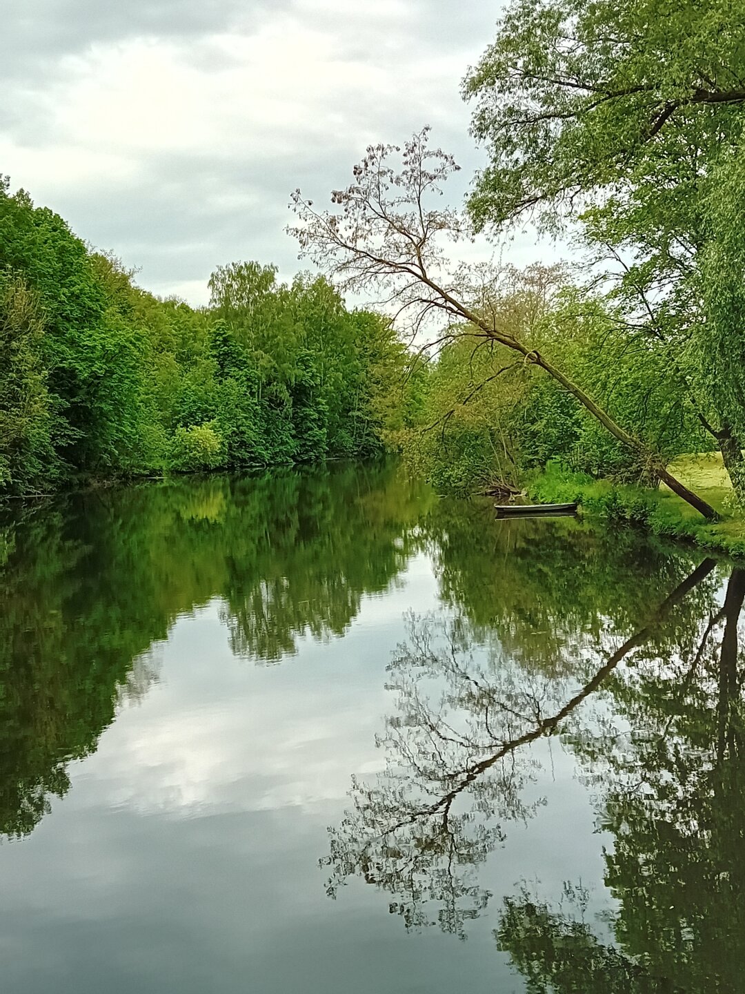 Die Mulde in Waldenburg