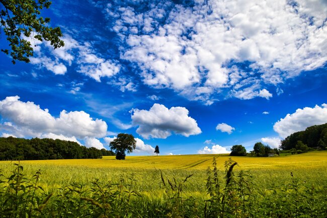 Landschaft bei Waldenburg/ Sachsen