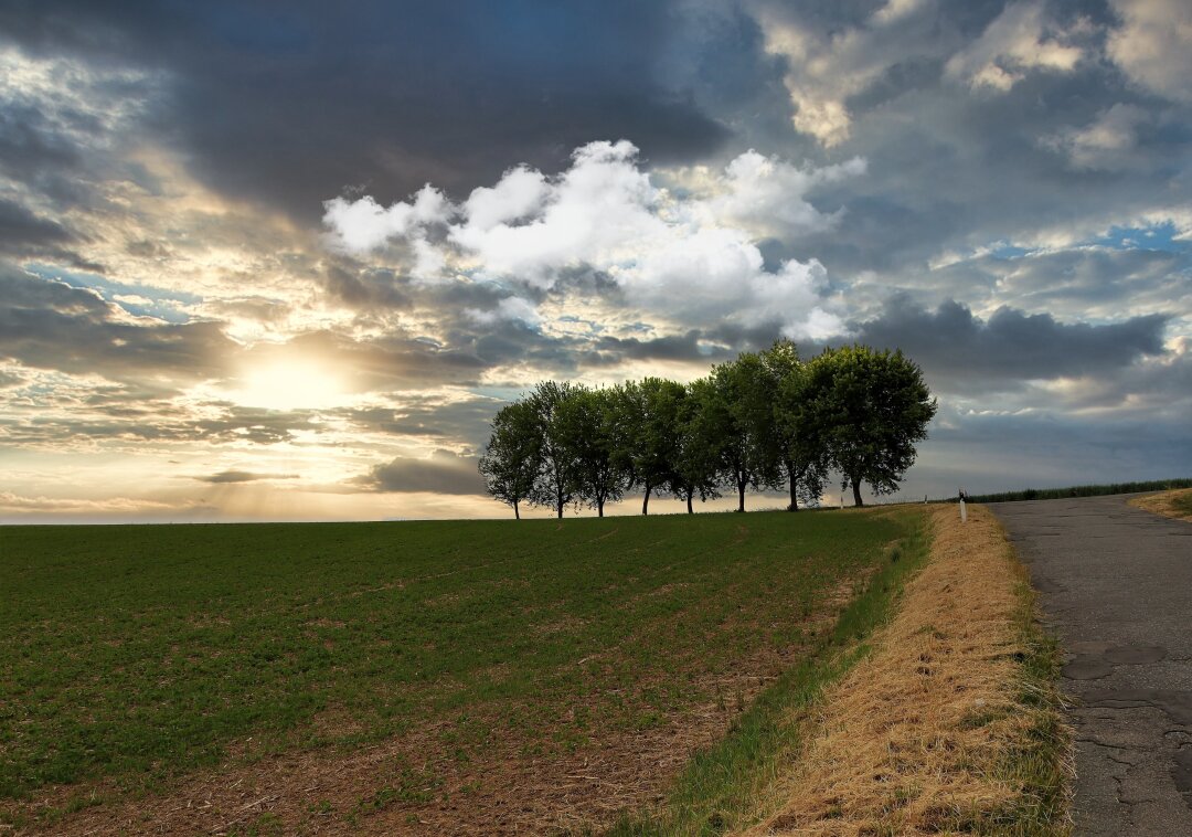 Landschaft bei Ebersbach ( Glauchau )