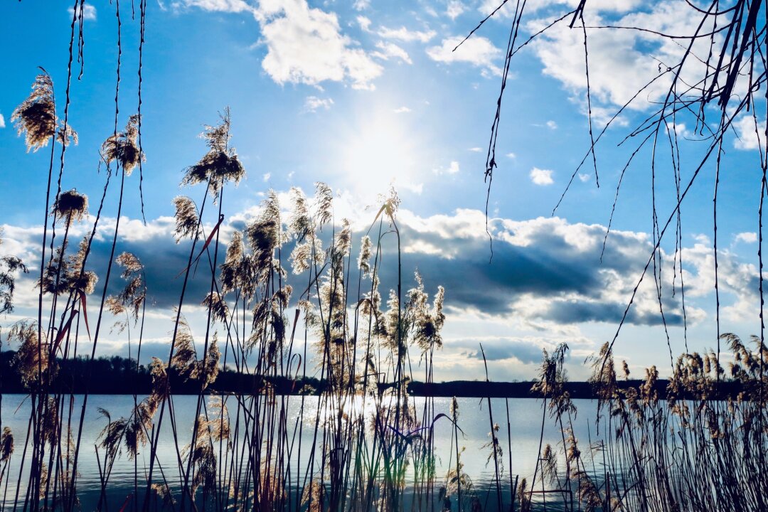 Stausee Glauchau