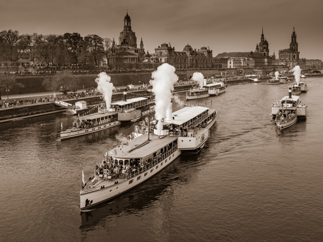 Dampferparade auf der Elbe