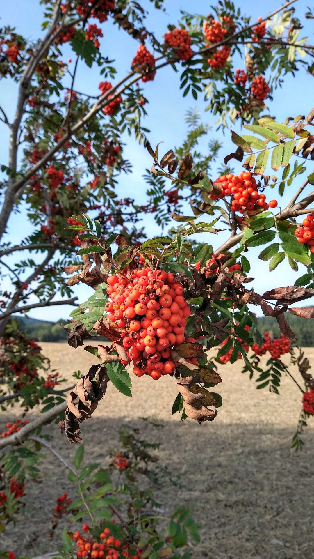 Sch&ouml;ner Herbsttag