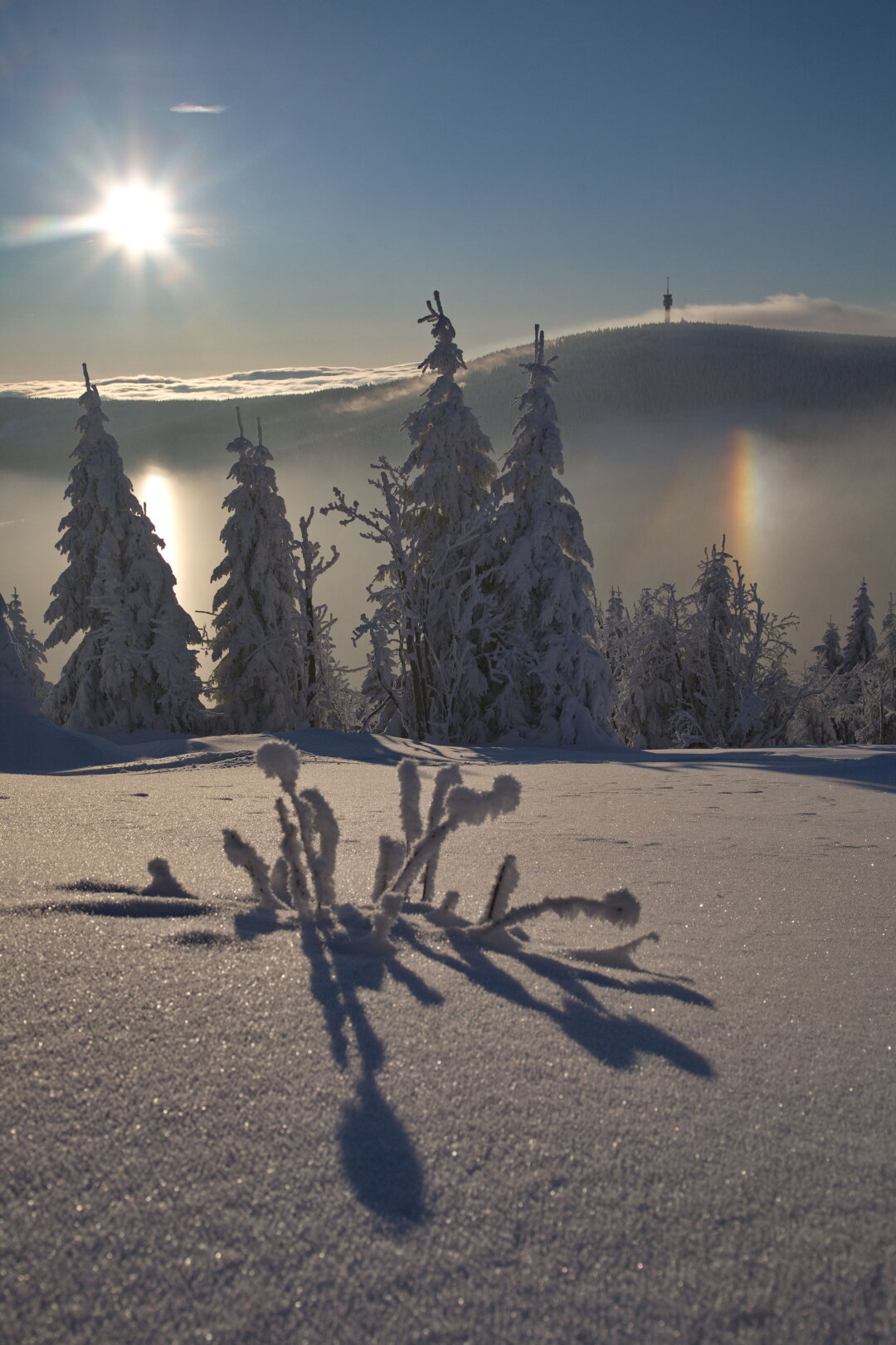 Winterlandschaft