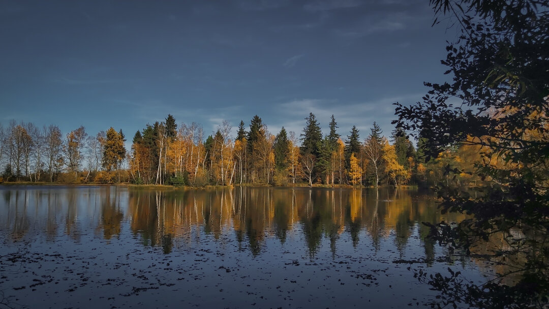 Das Bild ist Nachmittags bei einem Herbstspaziergang entstanden und zeigt den Ziegelteich in Schneeberg.