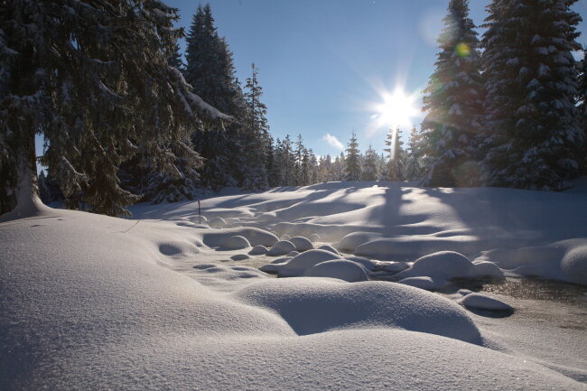 Ein kalter und ruhiger Wintermorgen im Erzgebirge.